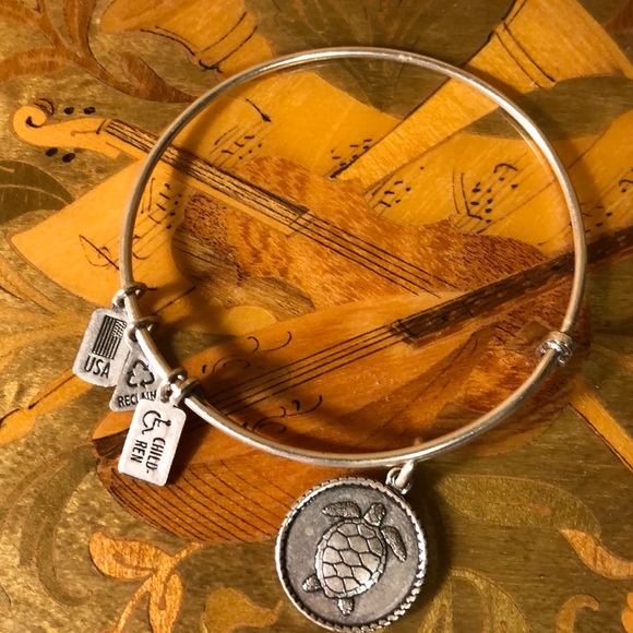 Wind and Fire Turtle Bangle - Picture 2 of 2